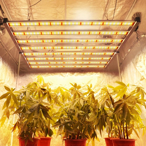 Grow store light usa